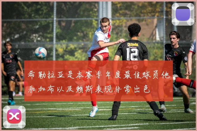 希勒拉亚是本赛季年度最佳球员他和加布以及赖斯表现非常出色