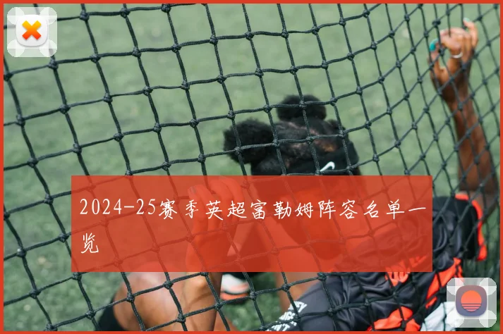 2024-25赛季英超富勒姆阵容名单一览