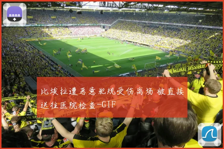 比埃拉遭恶意犯规受伤离场 被直接送往医院检查-GIF